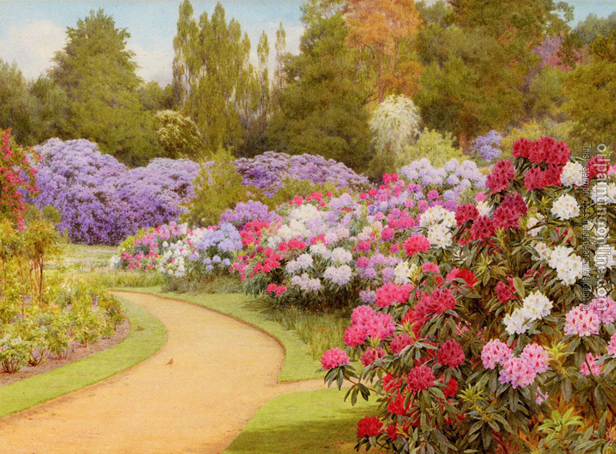 George Marks - The Rhododendron Walk